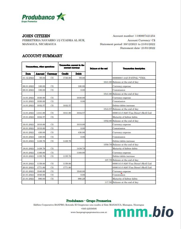 Nikaragua Banco Ficohsa szablon w formacie excel pdf